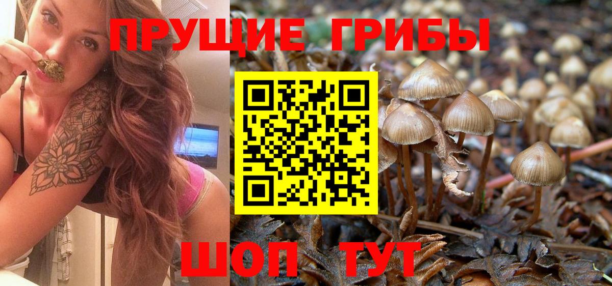Галлюциногенные грибы ЛСД  Вход с VPN  Минусинск  Псилоцибиновые грибы прущие грибы 